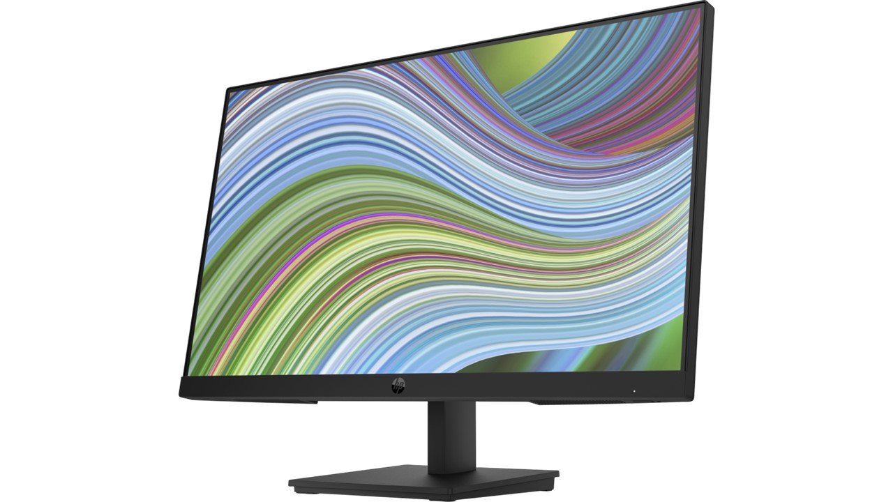 HP P24v G5 60.5 cm (23.8) FHD Monitor